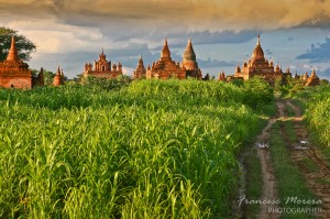 Temples among the fields of Bagan