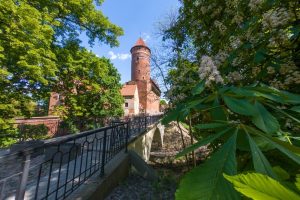 Castillo de Olsztyn